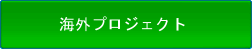 海外プロジェクト